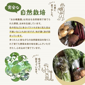 【12ヶ月定期便】百笑オーガニック野菜セット（8～10品目）（KAG-29）