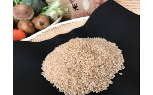 【栽培期間農薬不使用】お米と野菜セット3ヶ月定期便 (KBE-19)