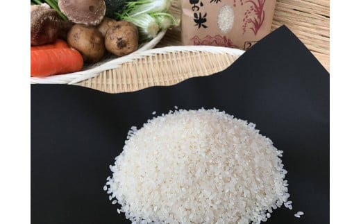 【栽培期間農薬不使用】お米と野菜セット12ヶ月定期便 (KBE-21)