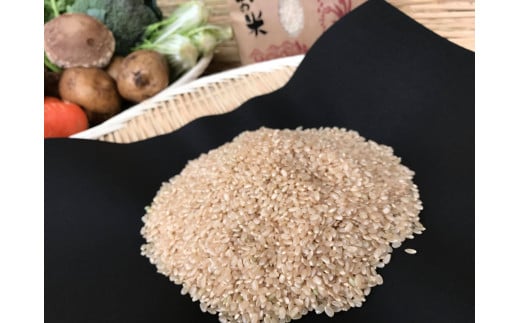 【栽培期間農薬不使用】お米と野菜セット12ヶ月定期便 (KBE-21)