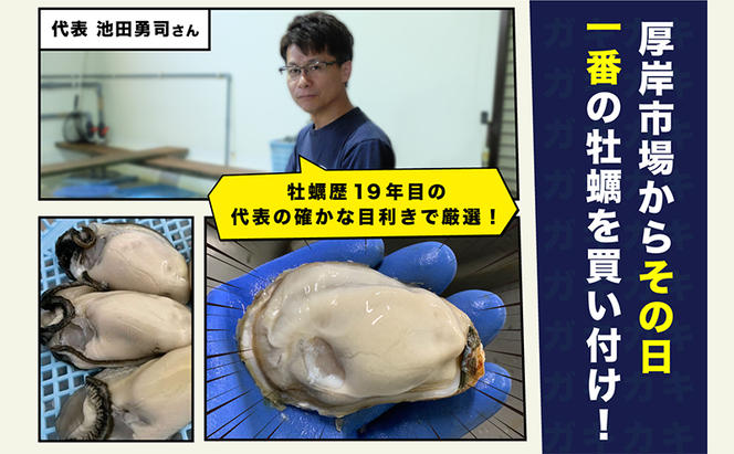 北海道 厚岸産 訳あり 牡蠣むいちゃいました  生食用 500g  カキ むき身 牡蠣