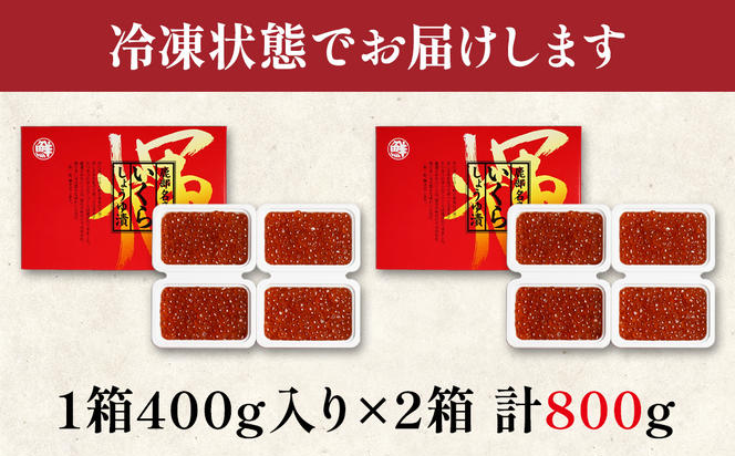 【小分けで便利！】北海道産いくら800g（100g×8）しょうゆ漬け 丸鮮道場水産 食べ切り いくら丼 手巻き寿司 小分け 送料無料