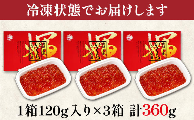 【小分けで便利！】北海道産いくら 360g（120g×3パック）しょうゆ漬け 丸鮮道場水産 小分け 食べきり