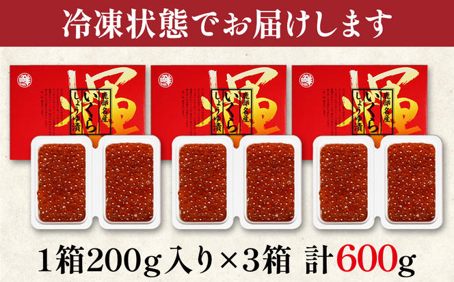 【小分けで便利！】北海道産いくら 600g（100g×6パック）しょうゆ漬け 丸鮮道場水産 小分け 食べきり いくら イクラ 醤油いくら