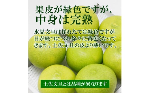 水晶文旦 特選ご贈答用 特大 約1.5kg（2個入） ぶんたん ブンタン 水晶文旦 果物 柑橘 フルーツ 特大サイズ お取り寄せ 特産品 美味しい 高知県産 美味しい ギフト 贈答品 贈り物