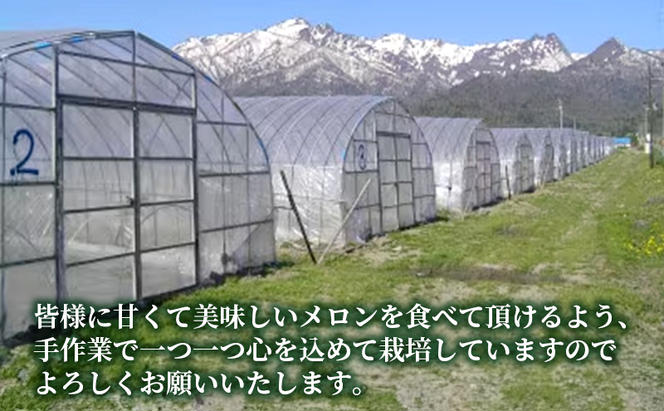 【先行受付  2025年発送】ふらのメロン 赤肉 大玉 ジャンボ 1玉入 (2kg～2.5kg) 北海道 富良野 メロン 夏 果物 フルーツ ギフト 長沢農園