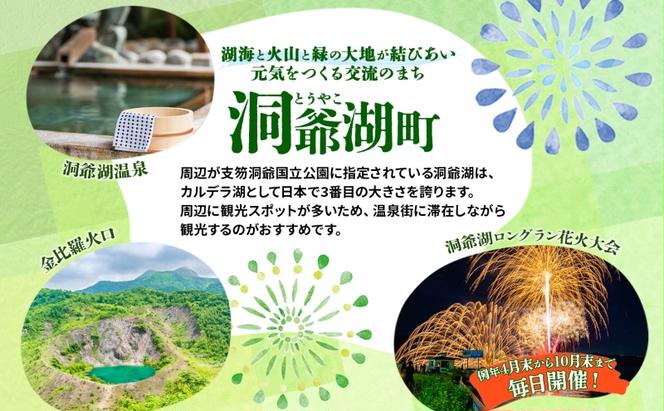 HISふるさと納税 クーポン(北海道 洞爺湖町)【3,000円分】 旅行 ツアー 宿泊 ホテル 観光 飛行機 