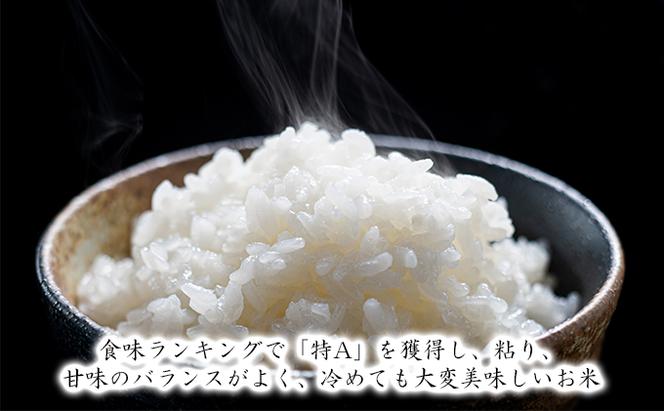 【入金確認後、最短7日発送】令和6年産米 北海道滝川産ゆめぴりか 10kg(5kg×2袋) ※10月中旬・新米からお届け 農家直送｜北海道 滝川市 米 お米 白米 ご飯 ゆめぴりか ユメピリカ 新米