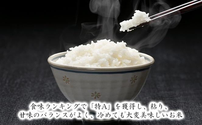 令和6年産米 北海道滝川産 農家直送 ゆめぴりか 5kg 3ヵ月連続｜北海道 滝川市 米 お米 白米 ご飯 ゆめぴりか ユメピリカ 定期便 連続お届け