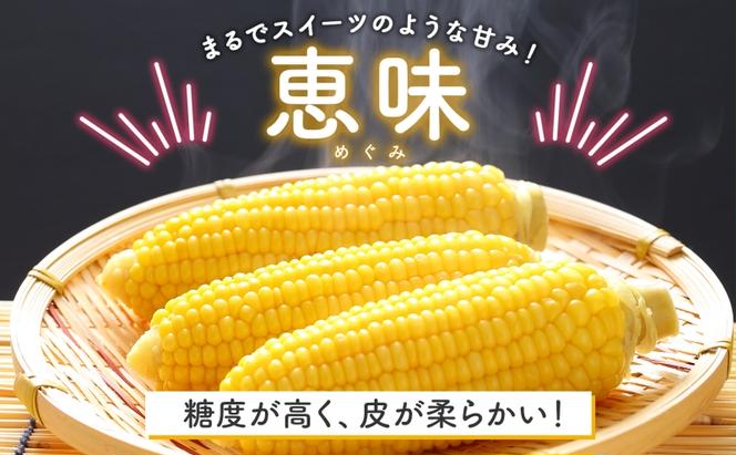  北海道 朝もぎ とうもろこし 恵味 L-LL サイズ 10本 スイートコーン ゴールドコーン めぐみ トウモロコシ とうきび コーン 旬 完熟 野菜 甘い 産地直送 お取り寄せ 北海道産