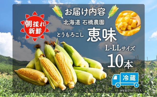  北海道 朝もぎ とうもろこし 恵味 L-LL サイズ 10本 スイートコーン ゴールドコーン めぐみ トウモロコシ とうきび コーン 旬 完熟 野菜 甘い 産地直送 お取り寄せ 北海道産