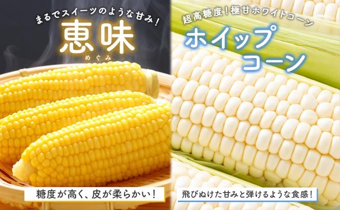  北海道 朝もぎ とうもろこし 恵味 ホイップコーン 各5本 計10本 L-LL サイズ 黄色 白色 トウモロコシ 黄 白 とうきび コーン 旬 完熟 甘い お取り寄せ 産地直送 北海道産