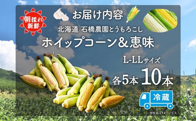  北海道 朝もぎ とうもろこし 恵味 ホイップコーン 各5本 計10本 L-LL サイズ 黄色 白色 トウモロコシ 黄 白 とうきび コーン 旬 完熟 甘い お取り寄せ 産地直送 北海道産