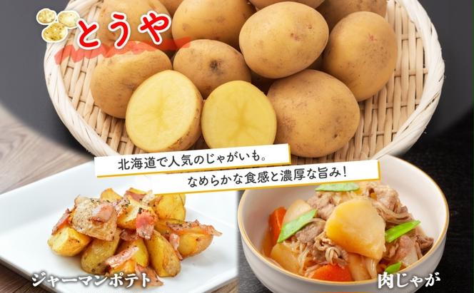  北海道 じゃがいも 2種 とうや メークイン 食べ比べ セット 各5kg 計10kg LM～2L サイズ 先行受付 馬鈴薯 トウヤ メイクイーン ポテト イモ 根菜 農作物 産地直送