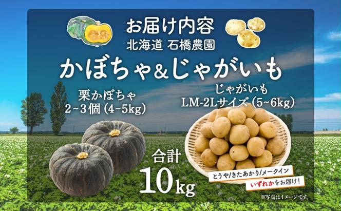  北海道 かぼちゃ じゃがいも セット 合計10kg 先行受付 ジャガイモ 馬鈴薯 ポテト 芋 イモ カボチャ パンプキン 緑黄色野菜 甘い ほくほく 農作物