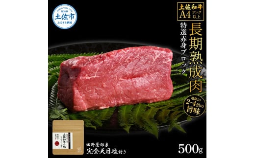 土佐和牛 特選赤身ブロック500g 田野屋銀象完全天日塩1P付き 長期熟成肉 田野屋銀象 完全天日塩付き 赤身 牛肉 ブロック 肉 お肉 和牛 国産 牛 熟成肉 ブロック肉 豪華 贅沢 真空パック