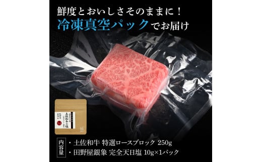 土佐和牛 特選ロースブロック250g 田野屋銀象完全天日塩1P付き 長期熟成肉 田野屋銀象 完全天日塩付き ロース 牛肉 ブロック 肉 お肉 和牛 国産 牛 熟成肉 ブロック肉 贅沢 真空パック