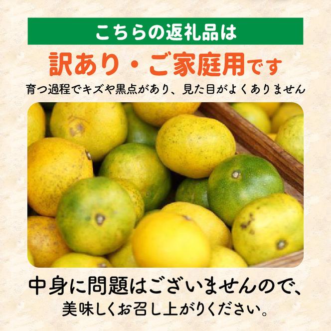 BB6202_先行予約 和歌山由良町産 由良早生みかん 約10kg 訳あり キズ 御家庭用 サイズ混合