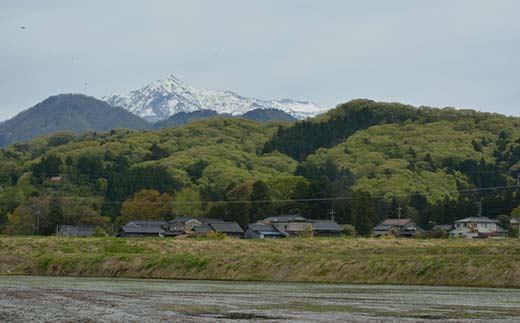 お米【毎日が最後の晩餐、立山天空米】吟撰米 ( 精米 ) 10kg ( 5kg×2袋 ) 富山県 立山町 F6T-122