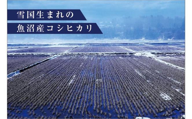 【先行予約】【無洗米】魚沼産川西こしひかり1合×30袋 新潟県認証特別栽培米 令和6年度米＜令和6年10月上旬～発送予定＞