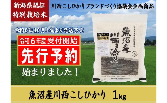 【先行予約】魚沼産川西こしひかり1kg 新潟県認証特別栽培米 令和6年度米＜令和6年10月上旬～発送予定＞