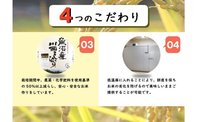 【先行予約】魚沼産川西こしひかり1kg 新潟県認証特別栽培米 令和6年度米＜令和6年10月上旬～発送予定＞