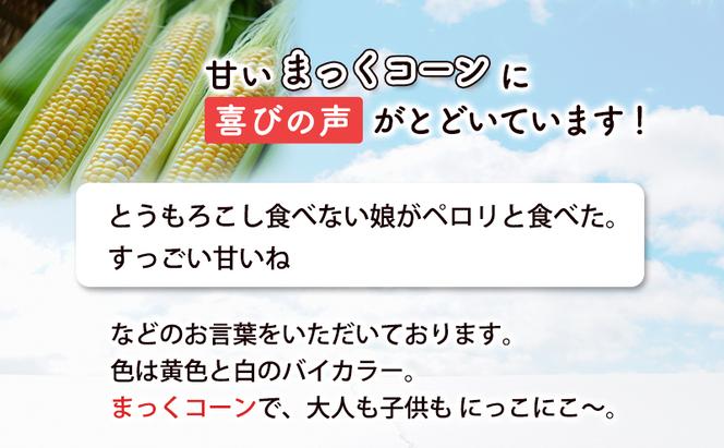 2025年発送 富良野産  生のまま食べれる！とうもろこし まっくコーン　11本　北海道 富良野市 とうきび とうもろこし 旬 季節 ふらの 甘い コーン