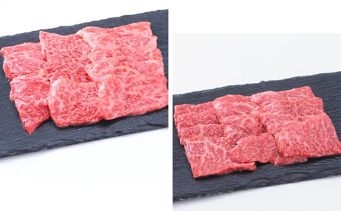 【神戸牛】部位食べ比べセット　計約1.2kg　しゃぶしゃぶ・ステーキ・焼肉・煮込み〔 やきにく BBQ 牛肉 国産牛 和牛 お肉 肉 霜降り おすすめ 高級 グルメ お祝い 冷凍 〕