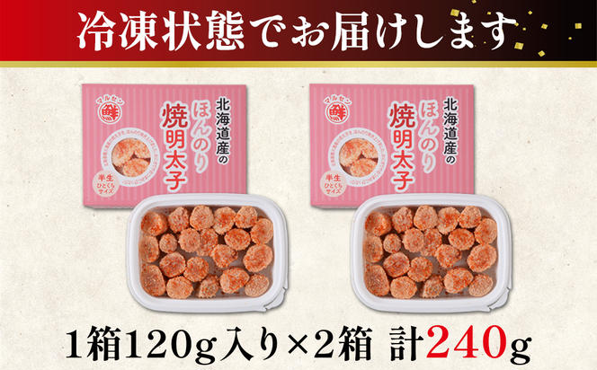 【丸鮮道場水産】北海道産 お試し ほんのり焼明太子 120g×2個（240g）