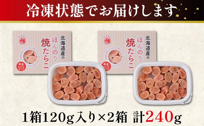 【丸鮮道場水産】北のハイグレード食品2021認定 北海道産 お試し ほんのり焼たらこ 120g×2個（240g）