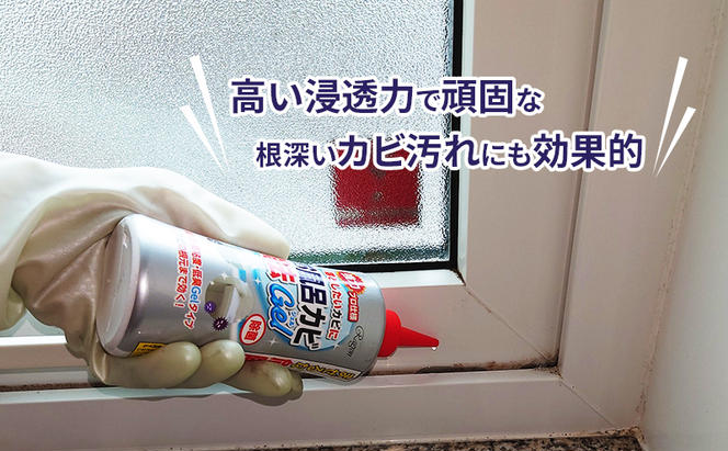 お風呂カビ除去Gel 40本セット