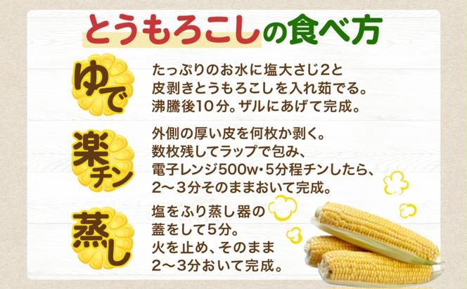 北海道 洞爺湖町 月浦 雪の妖精 5kg  先行受付 8月下旬～9月中旬頃にお届け とうもろこしトウモロコシ とうきび スイート コーン 旬 野菜 甘い 大粒 人気 朝採り 産地直送 青山農園 送料無料 洞爺湖