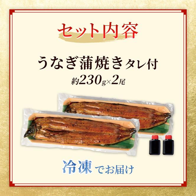 国産うなぎ 特大蒲焼き 約230g前後 2尾 職人手焼き ギフトにも