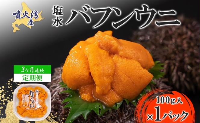 【定期便3カ月】北海道 噴火湾産 塩水 バフンウニ 100g 1パック うに ウニ 雲丹 海鮮 海の幸 魚介類 ウニ丼 お寿司 濃厚 無添加 産地直送 産直 お取り寄せ 山村水産 送料無料