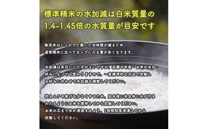 R6年度産 無洗米 あきたこまち 20kg 秋田県 男鹿市 【こまちライン】