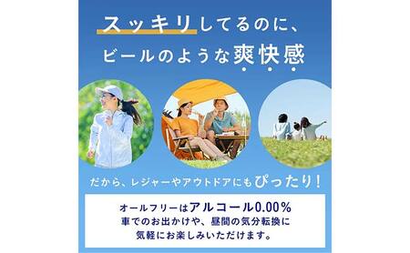 FKK19-918_【6回定期便】サントリー オールフリー 350ml×2ケース（48本入）