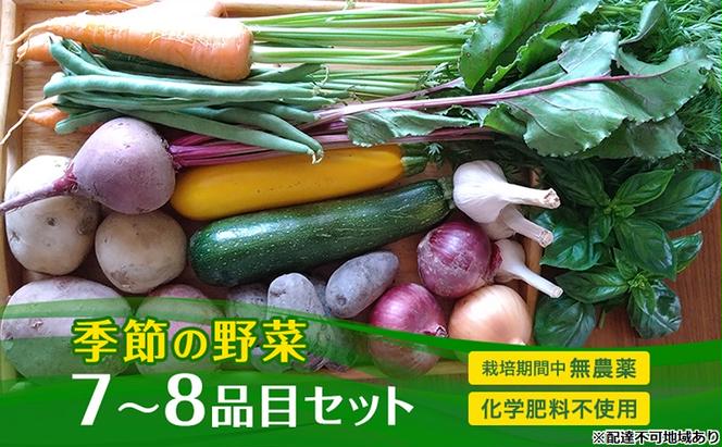 季節の野菜 7～8品目 セット 栽培期間中 無農薬 化学肥料不使用 旬 野菜 岡山