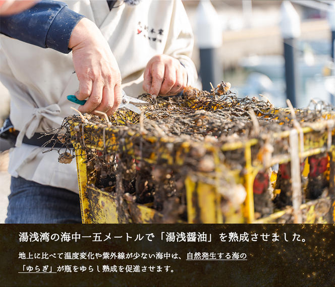P6003n_和歌山県産　海中熟成しょう油　200ml　