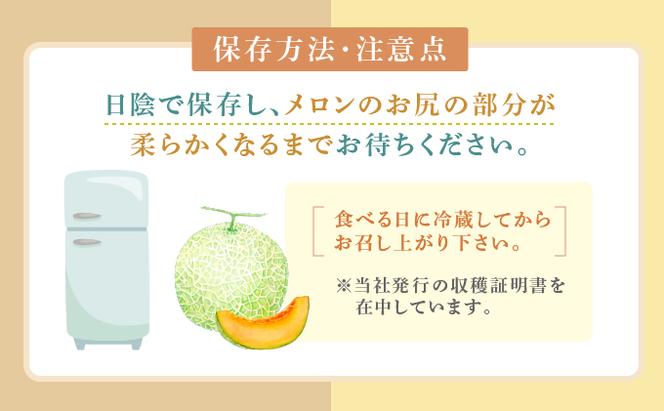 【2025年7月～発送】北海道 富良野市 赤肉 メロン 1.6kg 1玉 キングルビー ティアラ 品種指定不可 フルーツ ふらの (フラノプレゼンツ)