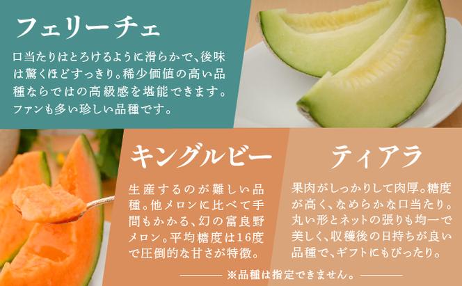 【2025年7月～発送】北海道 富良野市 メロン 食べ比べ 青肉＆赤肉 各1.6kg～1.8kg 2玉 ふらの フルーツ 果物 ギフト 数量限定 (フラノプレゼンツ)