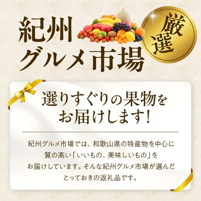 ZA95000_（先行予約）産地厳選 有田みかん 約5kg(大玉:2L～3Lサイズ)　紀州グルメ市場