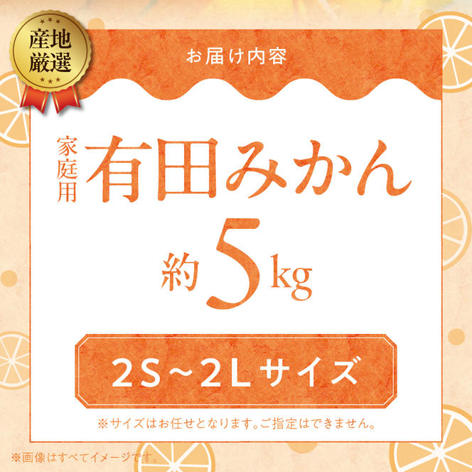 ZA95001_（先行予約）産地厳選 有田みかん 家庭用 約5kg(2S～2Lサイズ)　紀州グルメ市場