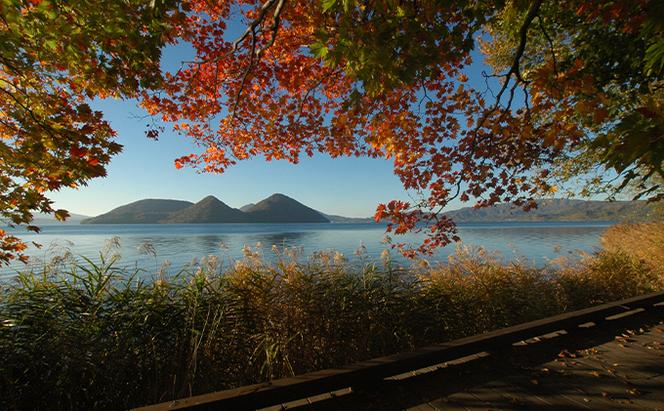 北海道洞爺湖町　日本旅行　地域限定旅行クーポン60,000円分