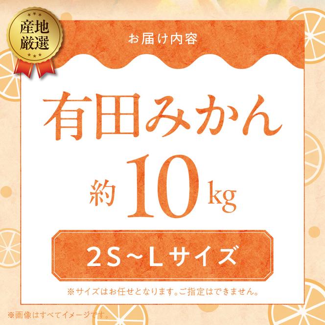 ZA95005_（先行予約）産地厳選 有田みかん 約10kg (2S～Lサイズ)　紀州グルメ市場