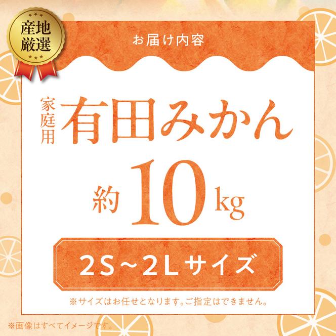 ZA95006_（先行予約）産地厳選 有田みかん 家庭用 約10kg(2S～2Lサイズ)　紀州グルメ市場