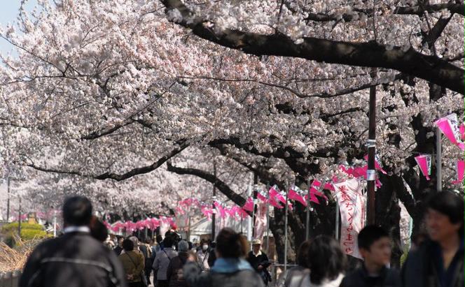 東京都墨田区　日本旅行　地域限定旅行クーポン15,000円分