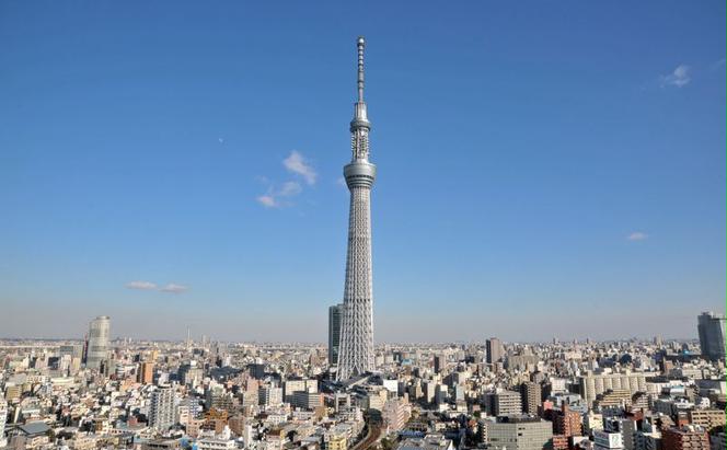 東京都墨田区　日本旅行　地域限定旅行クーポン30,000円分