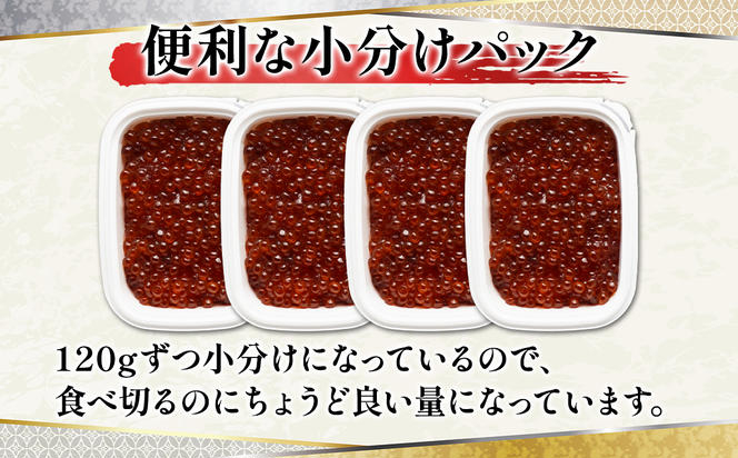 【丸鮮道場水産】鮭っ子しょうゆ味 120g×4個 国産すじこ 秋鮭 すじこ 塩漬け筋子 すじこご飯 筋子醤油漬け 北海道産筋子 食べやすい 一口サイズ 筋子 冷凍筋子 いくら イクラ 筋子 すじこ