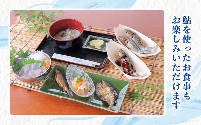 【先行予約】塩焼き用 活〆鮎 1kg （10尾～16尾）| 鮎 あゆ アユ 魚介 魚 川魚 塩焼き 鮎めし 雑炊 おかず 簡単 お手軽  岐阜県 瑞穂市 ※北海道・沖縄・離島への配送不可 ※2026年7月上旬～9月中旬頃に順次発送予定