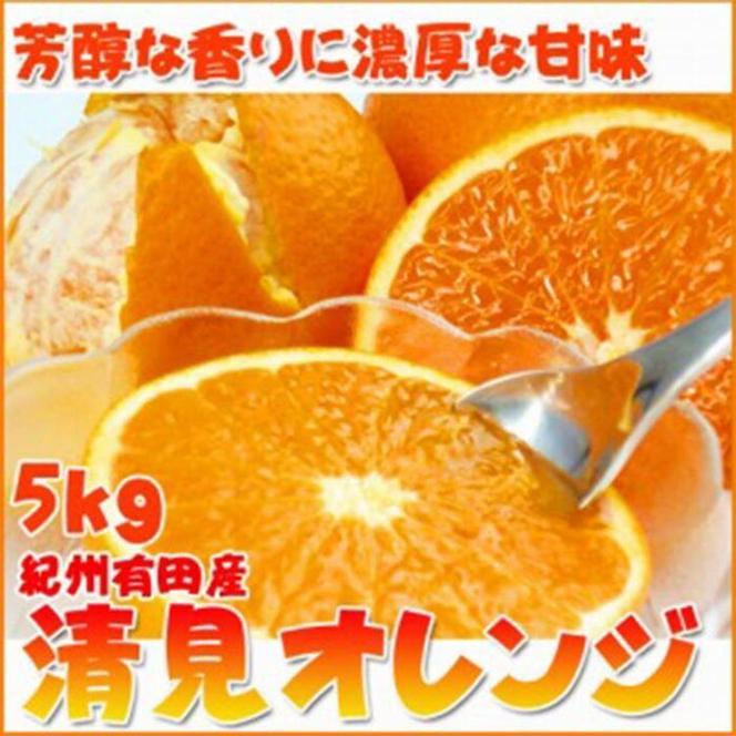 〈定期便〉【2・4・6・8・10・12月 全6回】和歌山産 旬のフルーツ お楽しみ 定期便 【魚鶴商店】◇